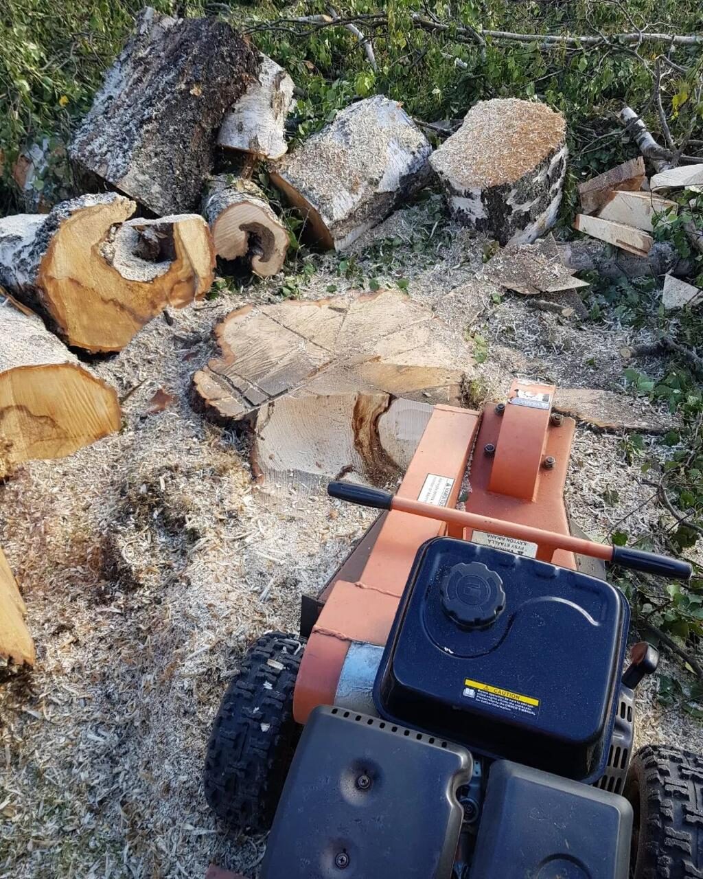 Bortforsling av virke Söderhamn